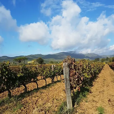 Apartament Borgo Al Cielo - Diffuso Suvereto