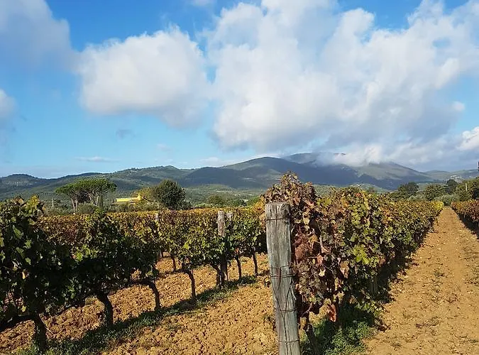 Appartamento Borgo Al Cielo - Diffuso Suvereto