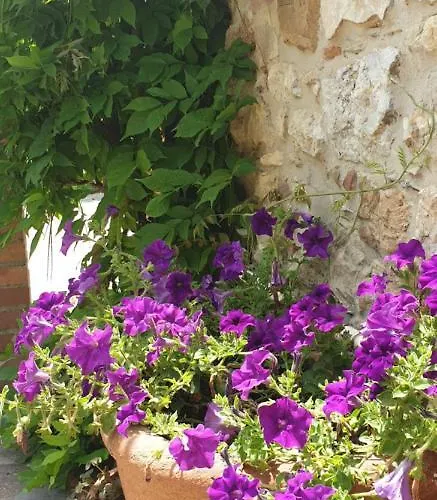 Borgo Al Cielo - Diffuso Appartamento Suvereto